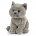 British Grey Shorthair Plush Kitten